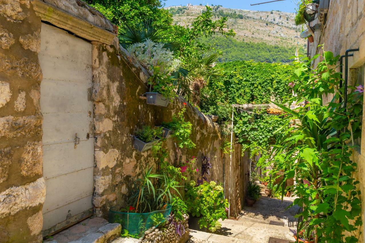 Old Town House With Floor Heating & Lush Private Garden Villa Dubrovnik Exteriör bild