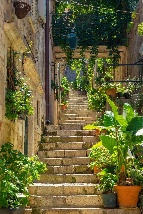 Old Town House With Floor Heating & Lush Private Garden Villa Dubrovnik Exteriör bild