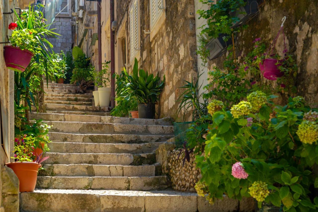 Old Town House With Floor Heating & Lush Private Garden Villa Dubrovnik Exteriör bild
